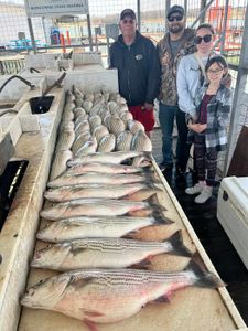 Hook the biggest stripers here!